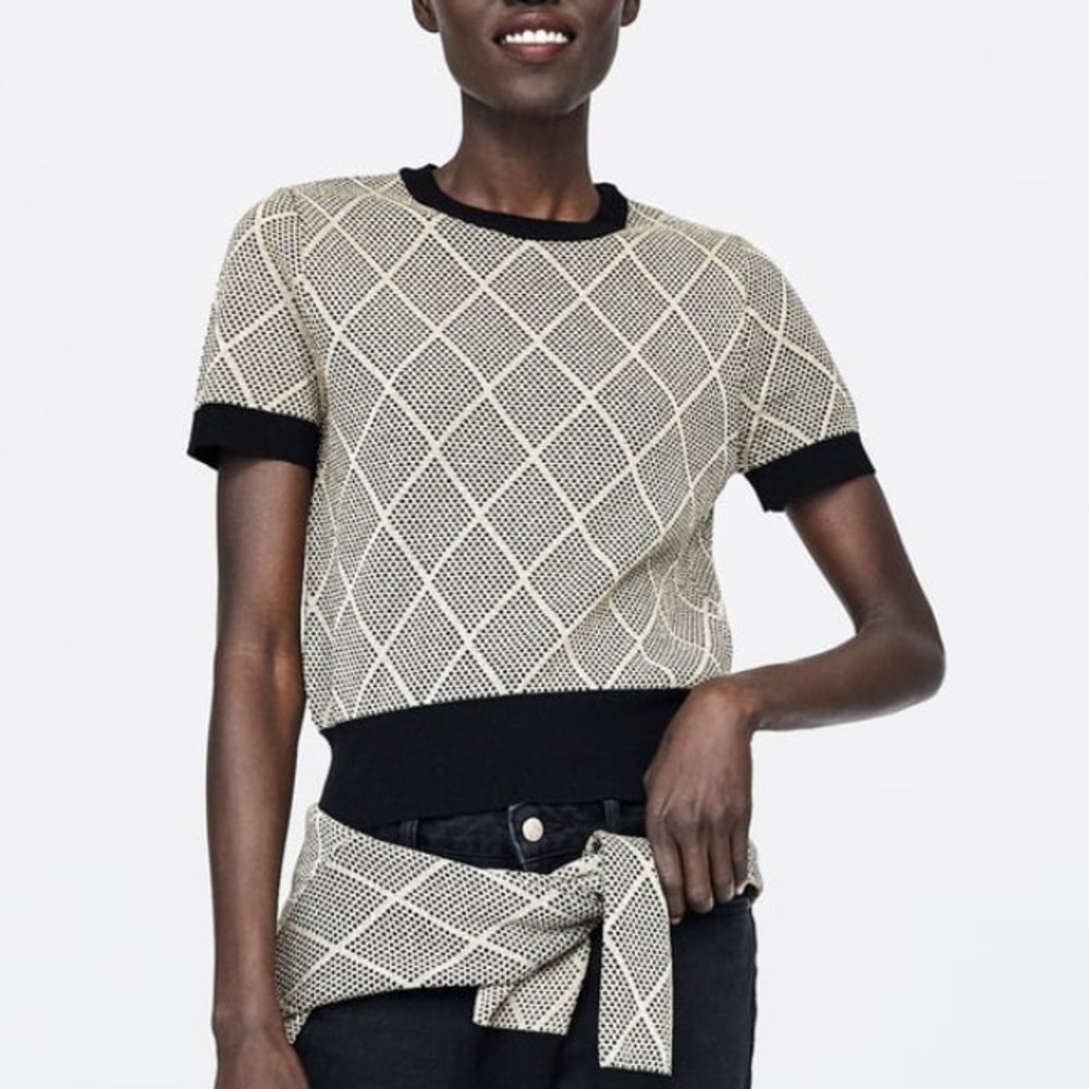 Zara NWT Metallic Short Sleeve Sweater